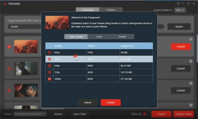 FlixHunter Choose Output Quality