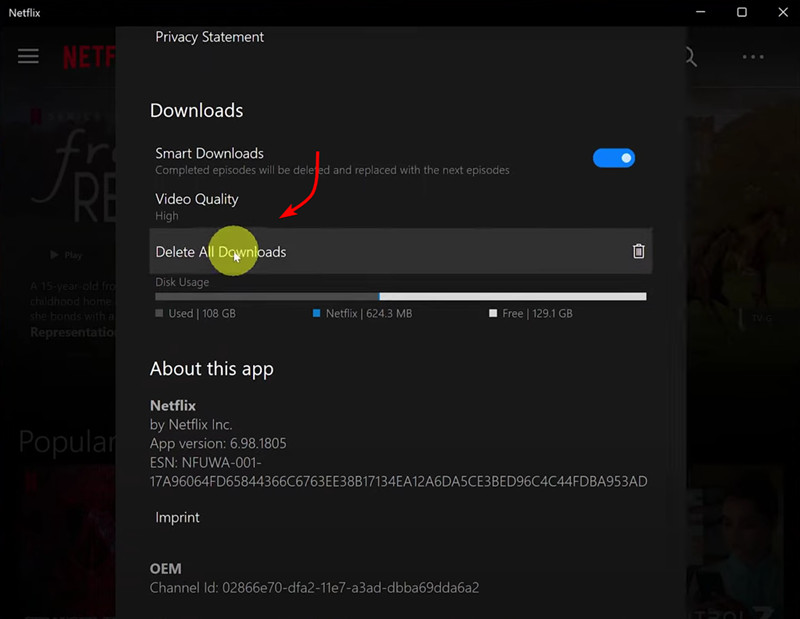 Delete Netflix Downloads on Computers